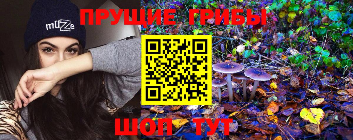 Псилоцибиновые грибы Cubensis Алексин